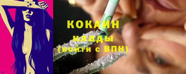 дмт Абаза