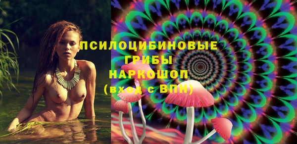 дмт Абаза