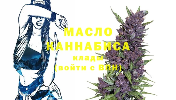 дмт Абаза