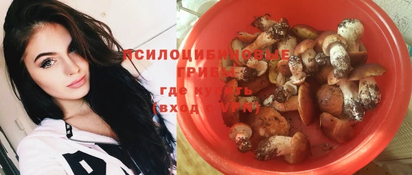 дмт Абаза
